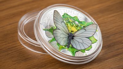 Mongolia - 2017 - 500 Togrog - Butterflies in 3D BLACK-VEINED WHITE