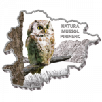 Andorra - 2013 - 10 Dinar -  Nature Treasures OWL (PROOF)