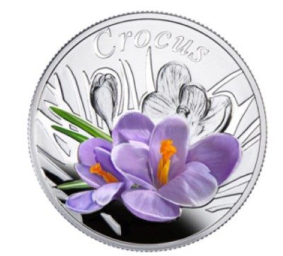 Belarus - 2013 - 10 Roubles - Under the Charm of Flowers CROCUS (PROOF)