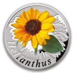 Belarus - 2013 - 10 Roubles - Under the Charm of Flowers SUNFLOWER (PROOF)