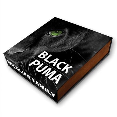 Niue - 2016 - 1 Dollar - Wildlife Family BLACK PUMA