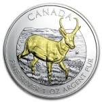 Canada - 2013 - 5 dollar - Antelope (Gold plated) (PROOF)