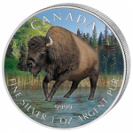 Canada - 2013 - 5 dollar - Bison (PROOF)