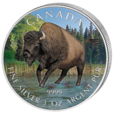 Canada - 2013 - 5 dollar - Bison (PROOF)