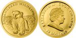Cook Islands - 2008 - 5 Dollars - Little Ice Bear (1/25oz gold) (PROOF)