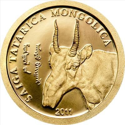 Mongolia - 2011 - 500 Tugrik - Saiga Tatarica Mongolica GOLD (PROOF)