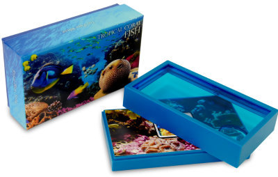 Niue - 2013 - 1 Dollar - Tropical Fish BLUE TANG (PROOF)