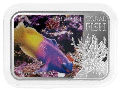 Niue - 2013 - 1 Dollar - Tropical Fish ROYAL GRAMMA (PROOF)