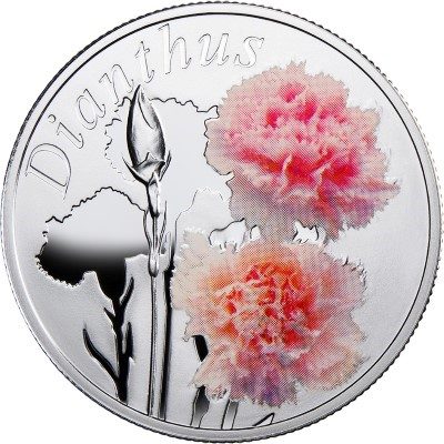 Belarus - 2013 - 10 Roubles - Under the Charm of Flowers CARNATION (PROOF)