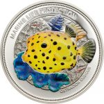 Palau - 2014 - 5 Dollar - Yellow Boxfish (including box) (PROOF)