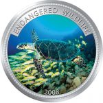 Palau - 2008 - 1 Dollar - Sea Turtle (PROOF)