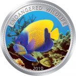 Palau - 2009 - 1 Dollar - Blue-gridled angelfi sh (PROOF)