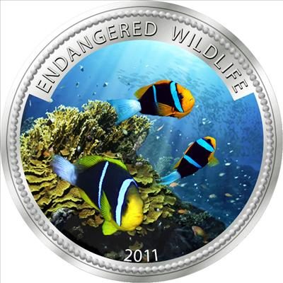Palau - 2011 - 1 Dollar - Anemone Fish (PROOF)