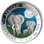 Somalia - 2014 - 100 Shilling - African Wildlife Elephant Colored Night  (BU)