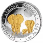 Somalia - 2014 - 100 Shilling - African Wildlife Elephant Gold-plated  (BU)