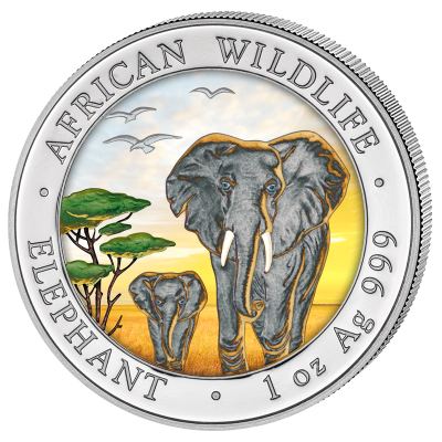 Somalia - 2015 - 2x100 Shillings - African Wildlife Elephant DAY & NIGHT (BU)