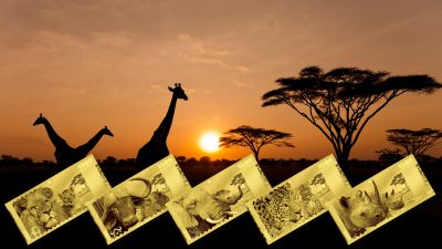 Tanzania - 2018 - 5x 1500 Shillings - Big Five 5-NOTE SET