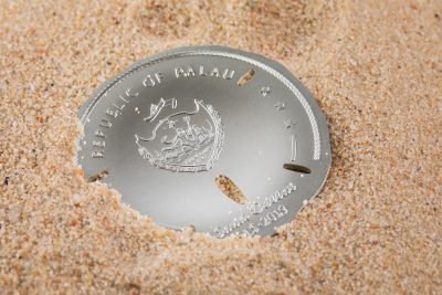 Palau - 2019 - 1 Dollar - Sand Dollar 2nd concave edition