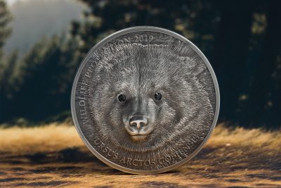 Mongolia - 2019 - 500 Togrog - Gobi Bear