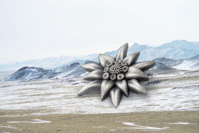 Mongolia - 2019 - 500 Togrog - Edelweiss – Mountain Star