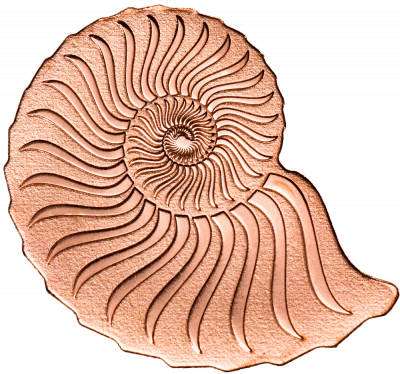 Mongolia - 2020 - 1000 Togrog - Golden Ammonite