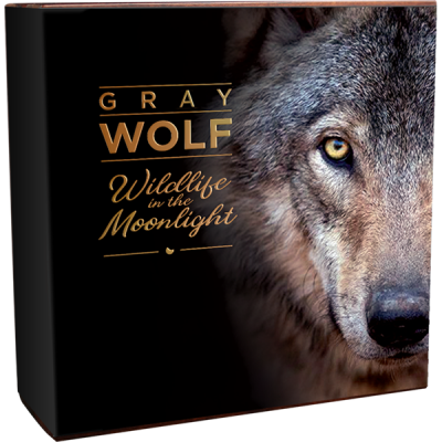 Niue - 2020 - 5 Dollars - Gray Wolf Wildlife in Moonlight