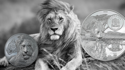 Tanzania - 2022 - 3000 Shillings - Lions Growing Up 5oz edition