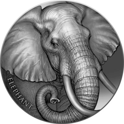 Cameroon - 2023 - 2000 Francs - Elephant Expressions of Wildlife