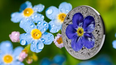Palau - 2023 - 10 Dollars - Forget Me Not Flower