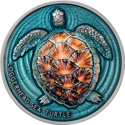 Niue - 2023 - 5 Dollars - Loggerhead Sea Turtle Lifelong Journey