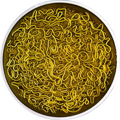 Cameroon - 2025 - 2000 Francs - Instant Noodle