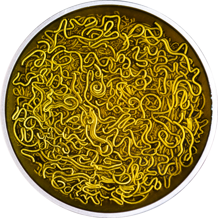 Cameroon - 2025 - 2000 Francs - Instant Noodle