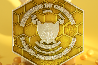 Cameroon - 2025 - 2000 Francs - The Bee Hive