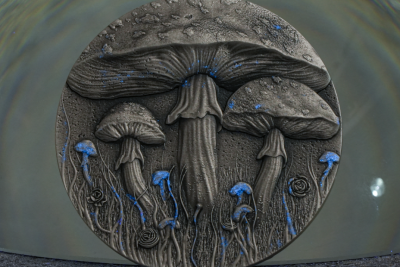 Cameroon - 2025 - 2000 Francs - Magic Mushroom