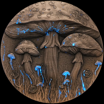 Cameroon - 2025 - 2000 Francs - Magic Mushroom