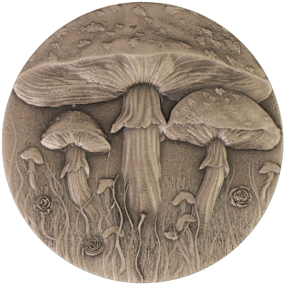 Cameroon - 2025 - 2000 Francs - Magic Mushroom