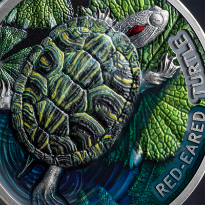 Niue - 2024 - 2 Dollars - Red-Eared Turtle (Lifelong Journey series)