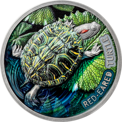 Niue - 2024 - 2 Dollars - Red-Eared Turtle (Lifelong Journey series)