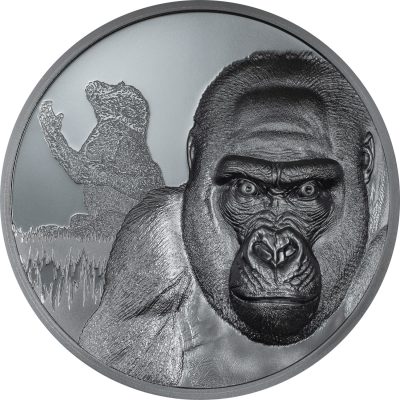 Cameroon - 2024 - 2000 Francs - Gorilla Growing Up