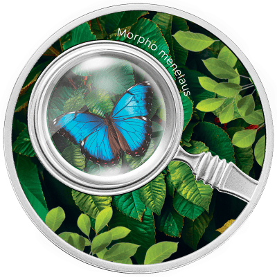 Cameroon - 2024 - 500 Francs - The Secret Garden Butterflies Morpho Menelaus