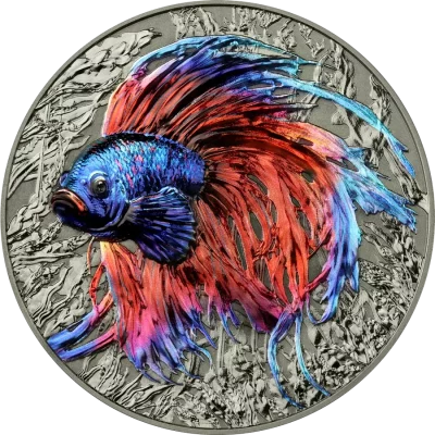 Niue - 2024 - 5 Dollars - Betta Fish (representation of the species series)