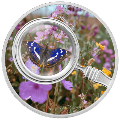 Cameroon - 2024 - 500 Francs - APATURA IRIS The Secret Garden Butterflies