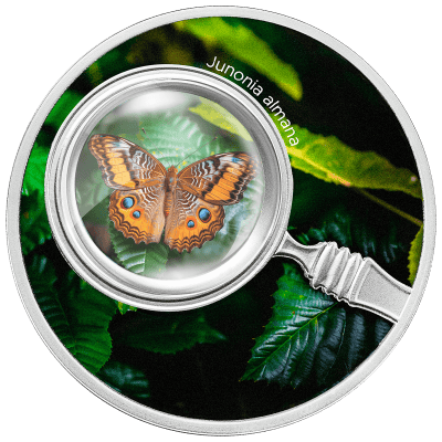 Cameroon - 2024 - 500 Francs - JUNONIA ALMANA The Secret Garden Butterflies