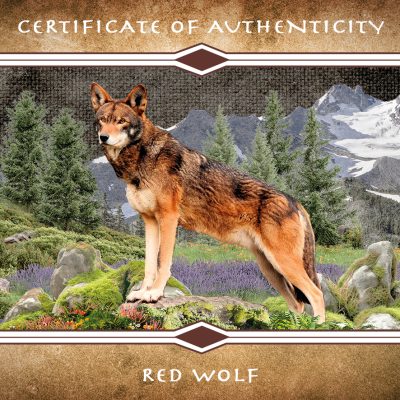 Mesa Grande - 2025 - 1 Dollar - Red Wolf 5oz copper