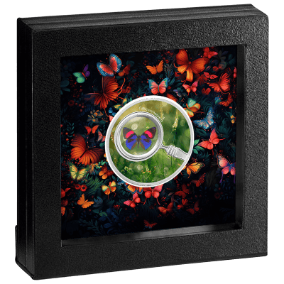 Cameroon - 2024 - 500 Francs - CALLICORE HESPERIS The Secret Garden Butterflies