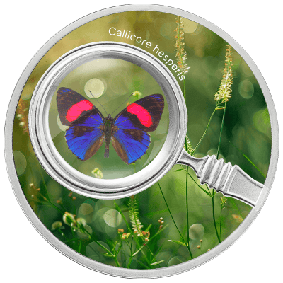 Cameroon - 2024 - 500 Francs - CALLICORE HESPERIS The Secret Garden Butterflies