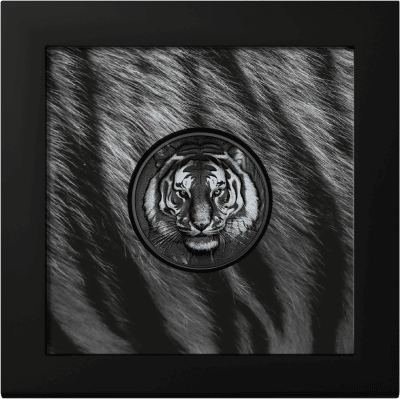 Cook Islands - 2026 - 5 Dollars - Tiger (Black & White series)