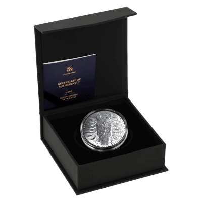 Niue - 2025 - 5 Dollars - Year of the Horse 2 oz silver