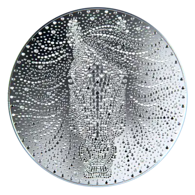 Niue - 2026 - 50 Dollars - Year of the Horse 1 kilo silver