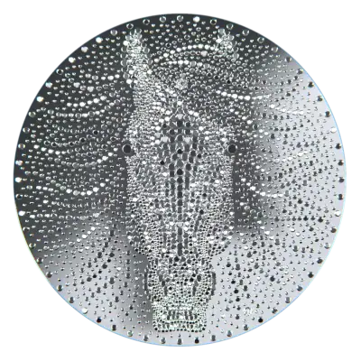 Niue - 2025 - 1 Dollars - Year of the Horse 1/2oz silver